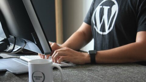 Changing the Look of Your Website With WordPress Themes